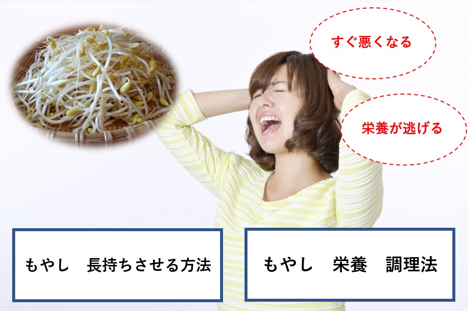 もやしをグンと長持ちさせる方法 栄養を逃がさない加熱 調理法も解説 ともの気まま日記